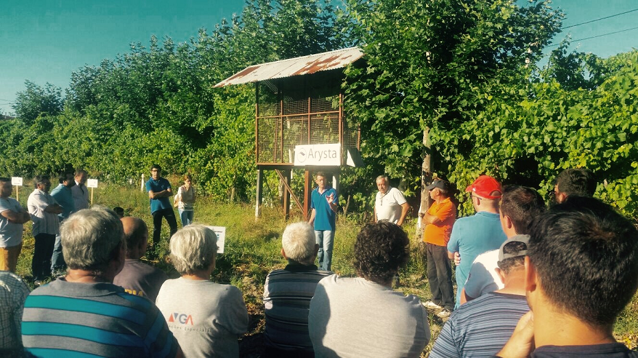 Arysta patrocina ensaio de variedades de batata de semente